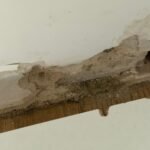 IMG-20260306-WA0051